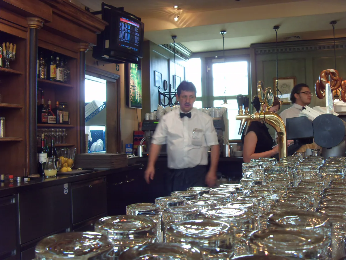 Bartender behind a counter in a Vienna hospitality venue